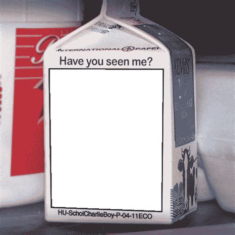Missing Person Meme Template